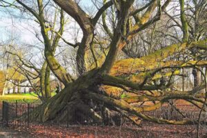 Govert de Jong Fotografie