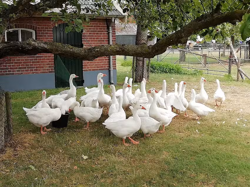 Guido Bogert Fotografie