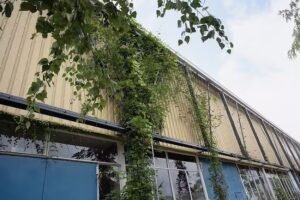 Hans van Asch | fotograaf kunstenaar