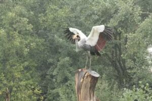 Hayo Baan &ndash; Photography