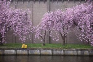 Heinz Aebi Photography