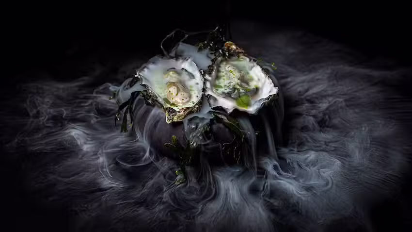 IDmedia Fotografie Groningen