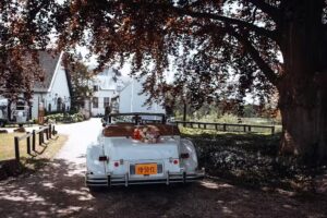 Ilse van den Dungen &ndash; Fotografie