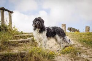 Ilspirante – fotografie