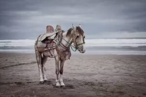 imagebender producties