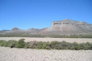 Jan Knolhoff Photography