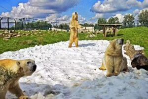 Johan Wouters Fotografie