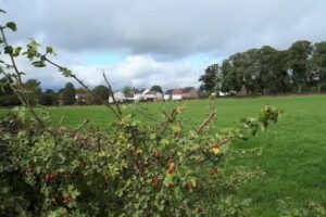 John Dummer Fotografie