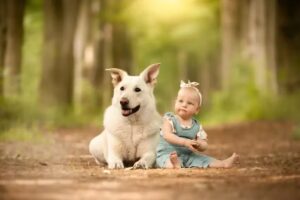 Jolien’s Fotografie