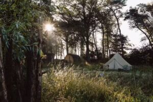 Jolijn Gommans Photography