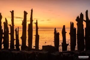 Joris Brouwer Photography