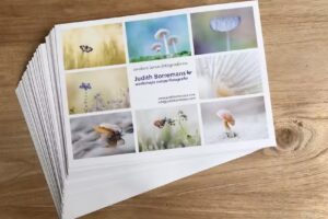 Judith Borremans Workshops en Academie Natuurfotografie