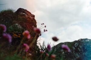 Jurre Rompa Photography