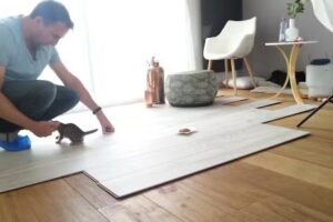 K.F.P. (Karin Foto Produkties)