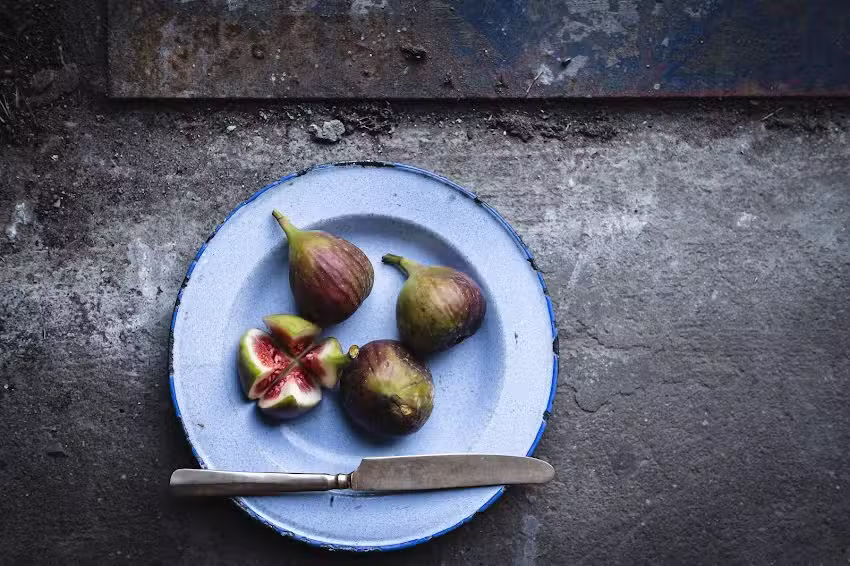 Karine de Bruijn Photography