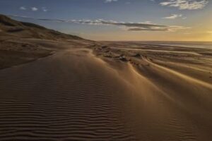 Kees Rijken Fotografie