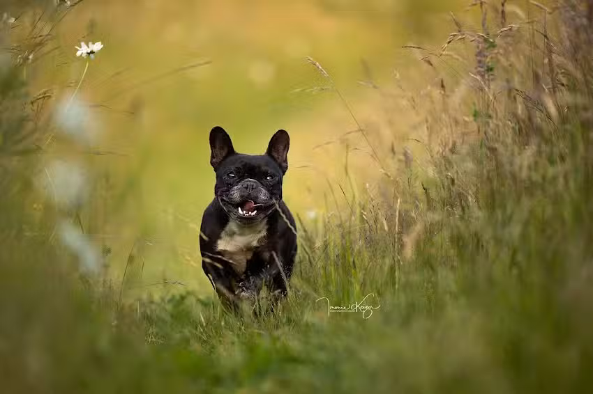 Keizer Fotografie