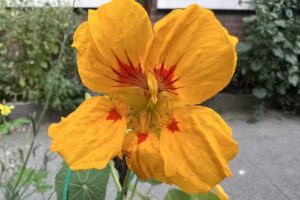 Klik-Klak Fotografie