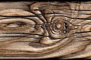 kluijfhout fotografie & interieur