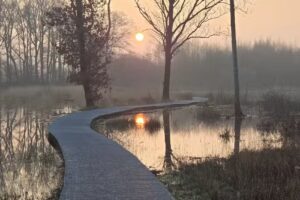 Laura van der Burgt Fotografie