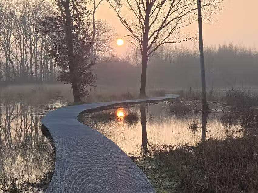 Laura van der Burgt Fotografie