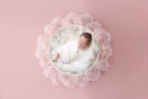 Licht & Donker Fotografie 📸