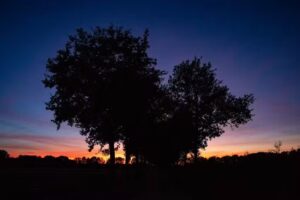 Lichtbringer (web)design & fotografie