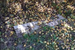 Lijstnodig lijstenmaker aan huis en bedrijf