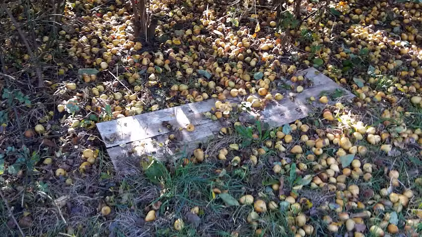 Lijstnodig lijstenmaker aan huis en bedrijf