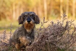 Linda Haaisma Fotografie 📸