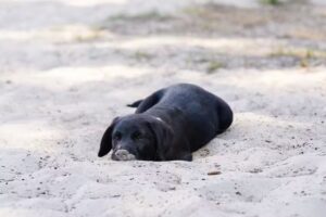Lisa Bouw Fotografie