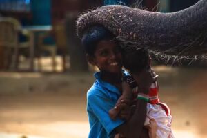 Lisa Crooy Photography