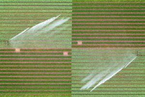 Looijesteijn Dutch Photographer