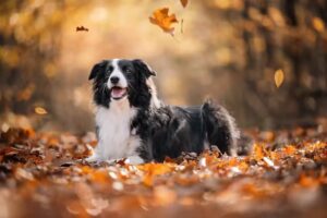 Lorena’s Photography