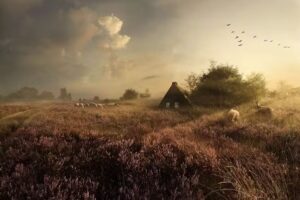 Maartje Roos | Fine art photography