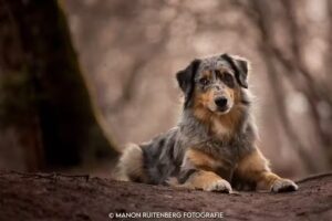 Manon Ruitenberg Fotografie