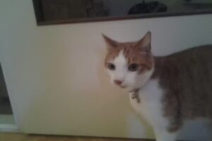 Marcel Knaapen Fotografie