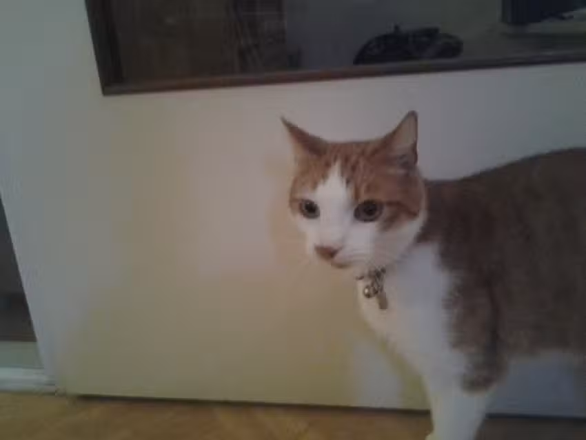 Marcel Knaapen Fotografie