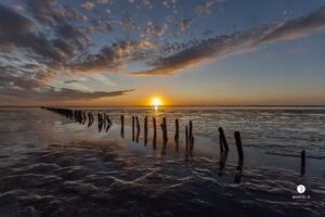 Marcelrfotografie (Foto- en Videograaf)