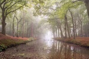 Marco Knies Fotografie Dijk en Waard Heerhugowaard
