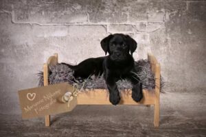 Marianne Nijkamp Fotografie