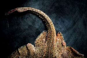 Marigoldtwelve Food Photography