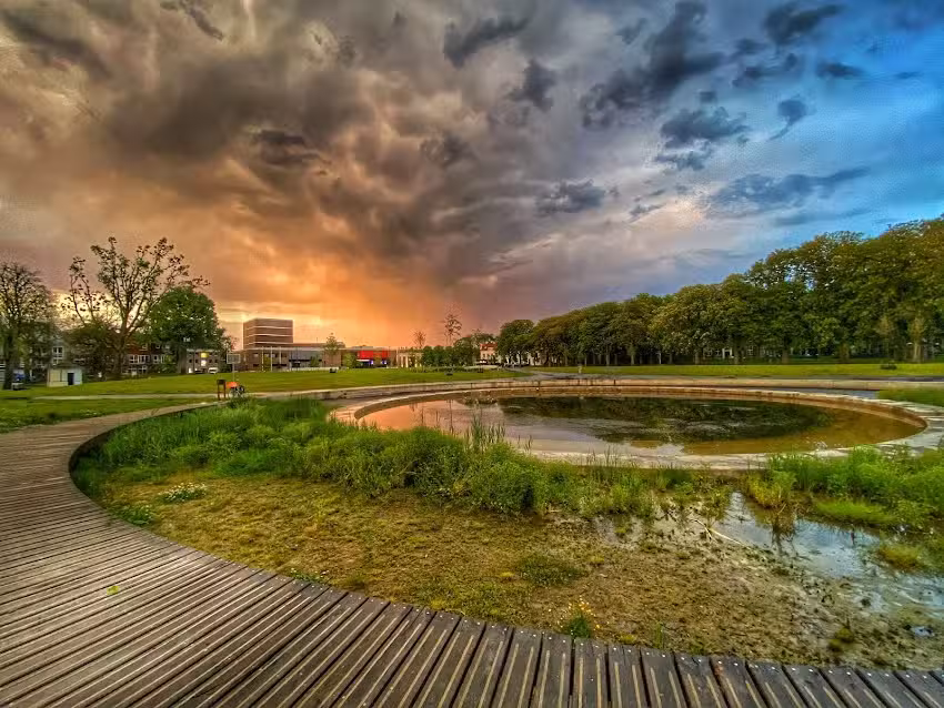 Mariska Familie Fotografie