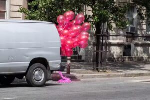 MARK ZEILSTRA | PHOTOGRAPHY AND GRAPHIC DESIGN