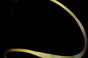 Maryla Dienstverlening