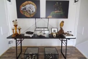 Mascha de Lange Photography