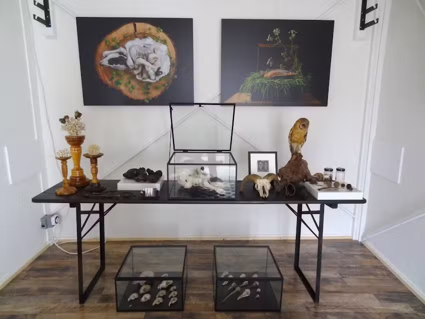 Mascha de Lange Photography