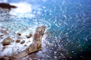 Michiel Poodt fotografie