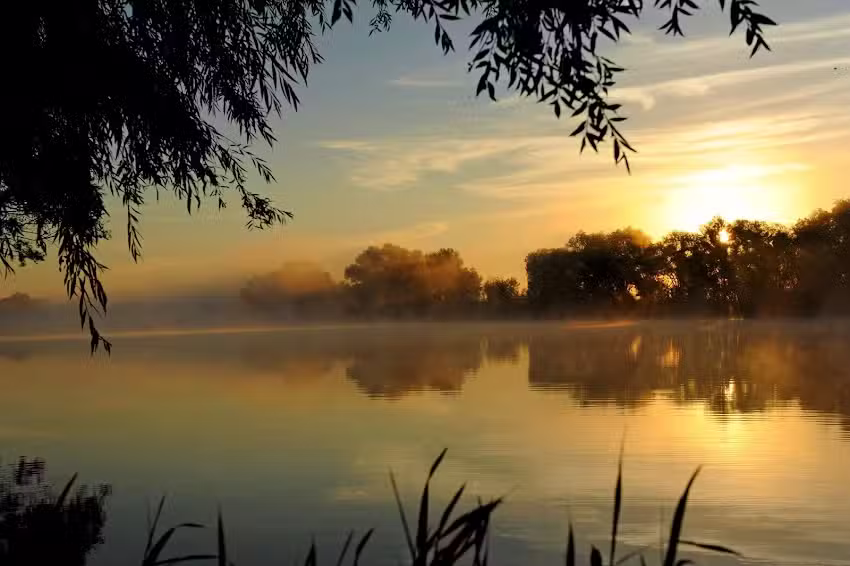 Monique Nillesen Fotografie & Artwork