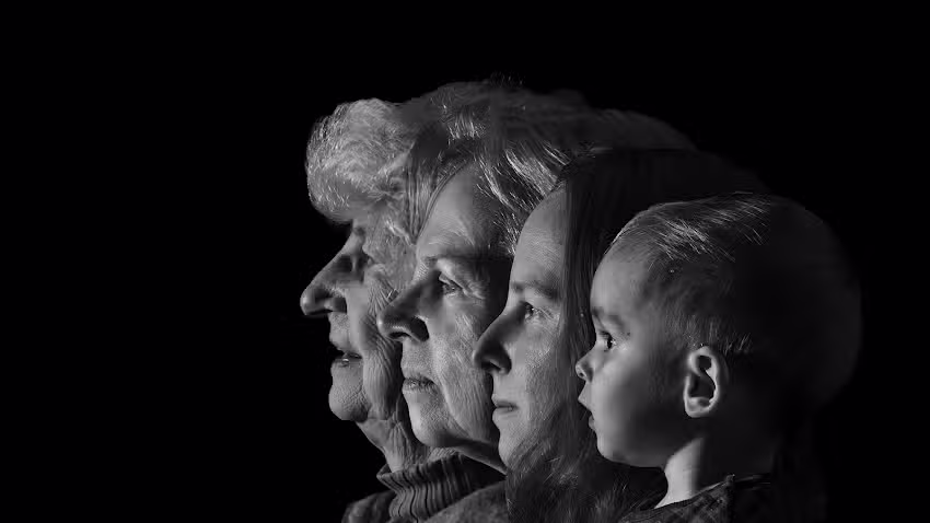 Naomi van Polen Fotografie